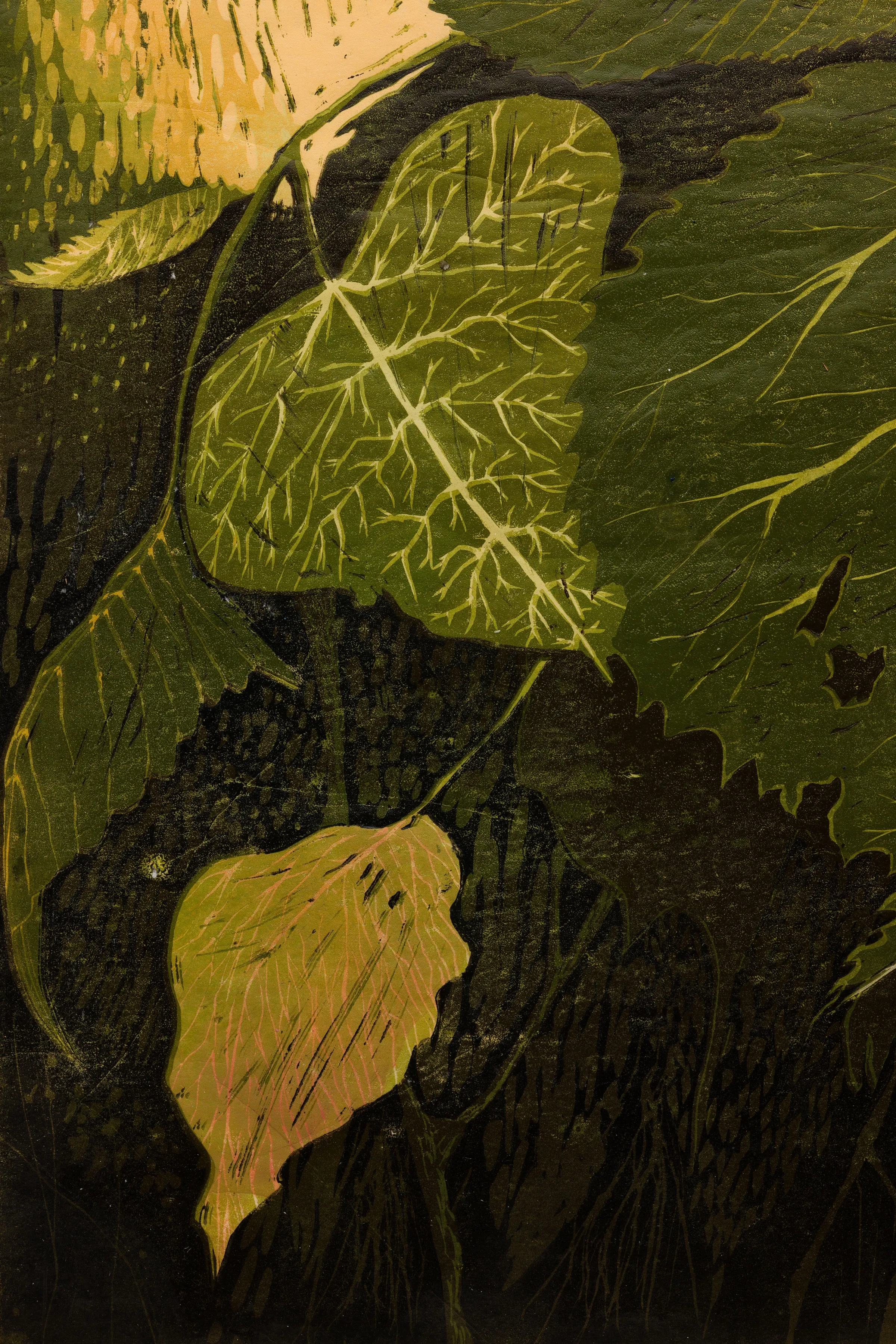 Artwork by Alexi Marshall